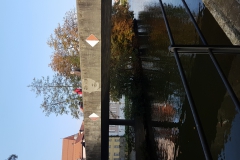20181020_110546