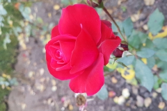 20181020_121318