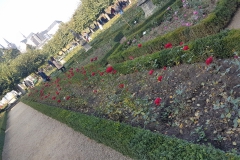 20181020_121437