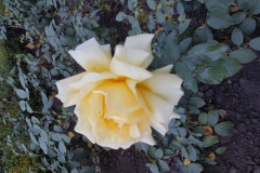 20181020_121520