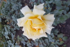 20181020_121523