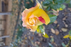20181021_105005