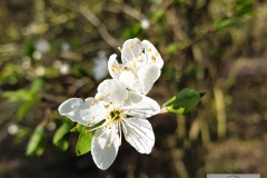 20190320_163926_wm