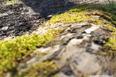 20190320_164112_wm