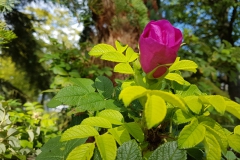 20170917_145127