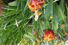 20190224_131703