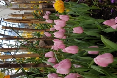 20190224_131729