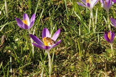 20190224_132342