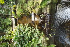 20190224_133900