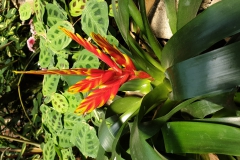20190224_134019