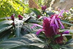 20190224_134513