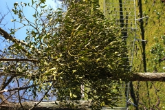 20190224_140826