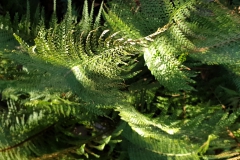 20190224_150711