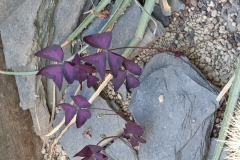 20190224_151046