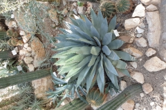 20190224_151209