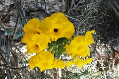 20190224_152338