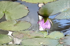 20190224_153115