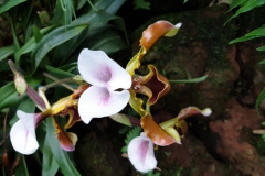 20190224_153301