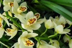 20190224_153627
