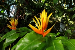 20190224_153828