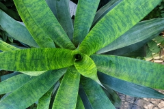 20190224_154415