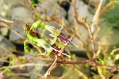 20190224_160229