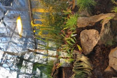 20190224_162023