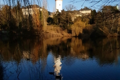 20190215_1637398795479575305189069