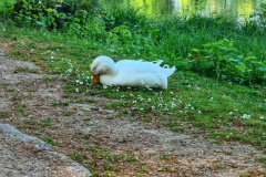 Schlosspark 