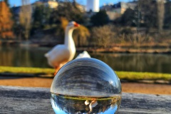 20220213_104015-01