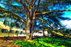 20220313_133112-01