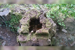 1431266546146