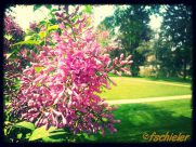 Natur Bilder