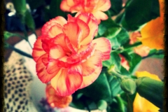 IMG_20130526_030829