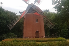 20180729_184325-e1549445940395