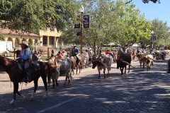 20221004_113329
